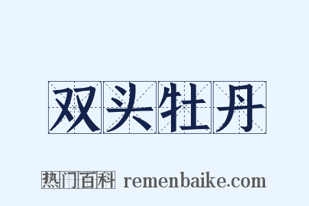 双头牡丹是什么意思的图片